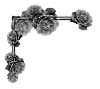 sticker_6780261_8472248