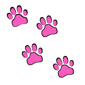 sticker_12717642_19370294