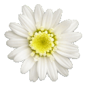 sticker_1596011_1846203