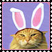 sticker_11914440_38338360