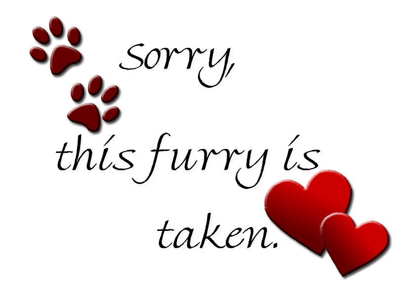 sticker_17095093_28955685