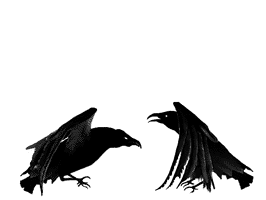 sticker_15713746_34917366