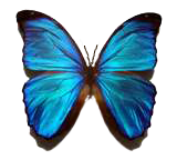 sticker_9211190_20351433