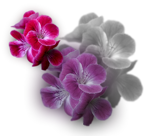 sticker_11914440_30583249