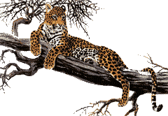 sticker_21635169_39144176