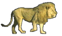 sticker_14185986_34099926