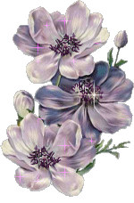 sticker_1318503_35553655