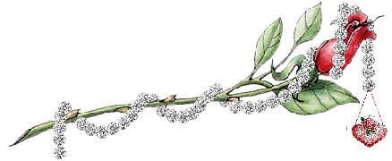 sticker_20500538_40005789