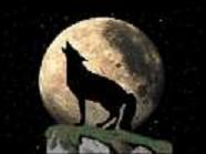 sticker_20004153_28280951