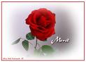 sticker_26097773_39504033