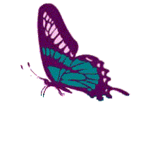 sticker_6469273_37629366