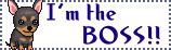 sticker_14850639_25934843