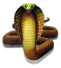 sticker_11511764_39389613