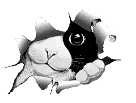 sticker_27156237_37707198