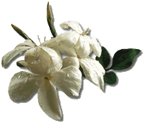 sticker_16291787_39083874