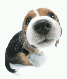 sticker_9222645_40562500