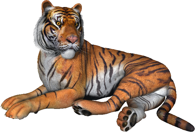 sticker_6060865_7989396