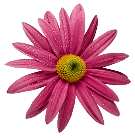 sticker_11359803_18778753