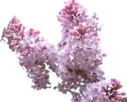 sticker_6060865_7371953