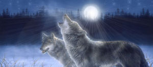 sticker_4458010_9684126