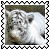 sticker_27392417_37083135