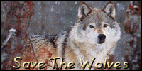 sticker_27998187_38975305