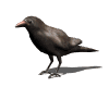 sticker_18385538_33791703