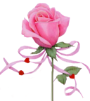 sticker_15015296_32345501
