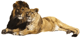 sticker_166449_2139645