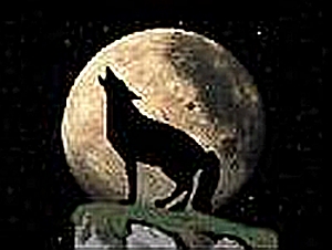 sticker_14017001_37729092