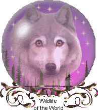 sticker_1528331_1860096