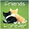 sticker_18344008_24191559