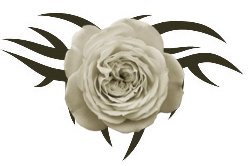 sticker_11265270_14583152