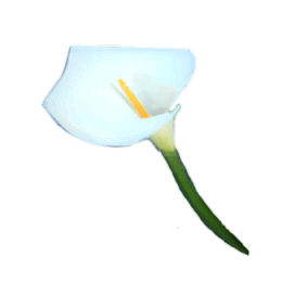 sticker_29750976_44177433
