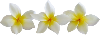 sticker_9147000_14604015