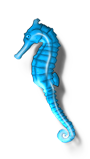 sticker_22795194_37079564