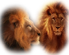 sticker_1346674_1774945
