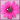 Patterned Flower