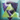 SCBadge