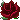 RED ROSE
