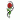 tribal rose