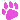 PawPrint