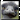 Emu