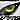 All-seeing Wolf