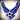 Air Force
