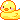 duck off 1