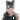 Cat Woman II