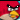 angry birds