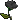 Black Rosy