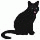 my black cat 2 14-2-18 